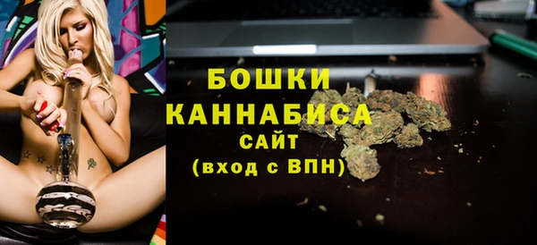 PSILOCYBIN Пересвет