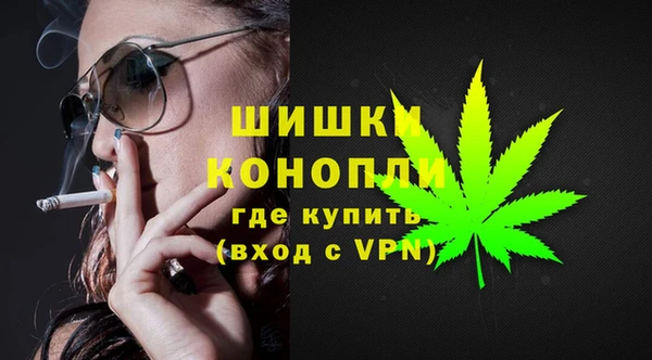 PSILOCYBIN Пересвет