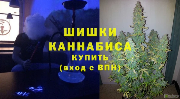 PSILOCYBIN Пересвет