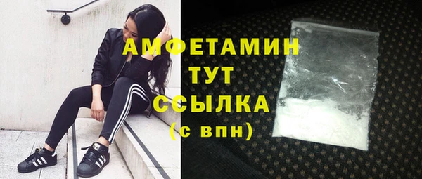 PSILOCYBIN Пересвет
