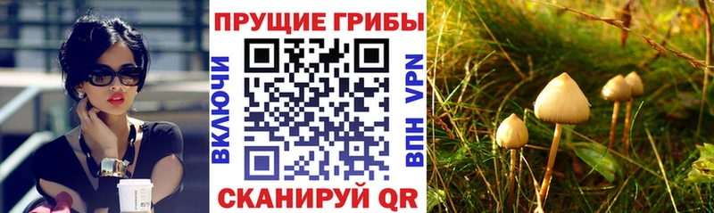 Галлюциногенные грибы MAGIC MUSHROOMS  Усолье-Сибирское 