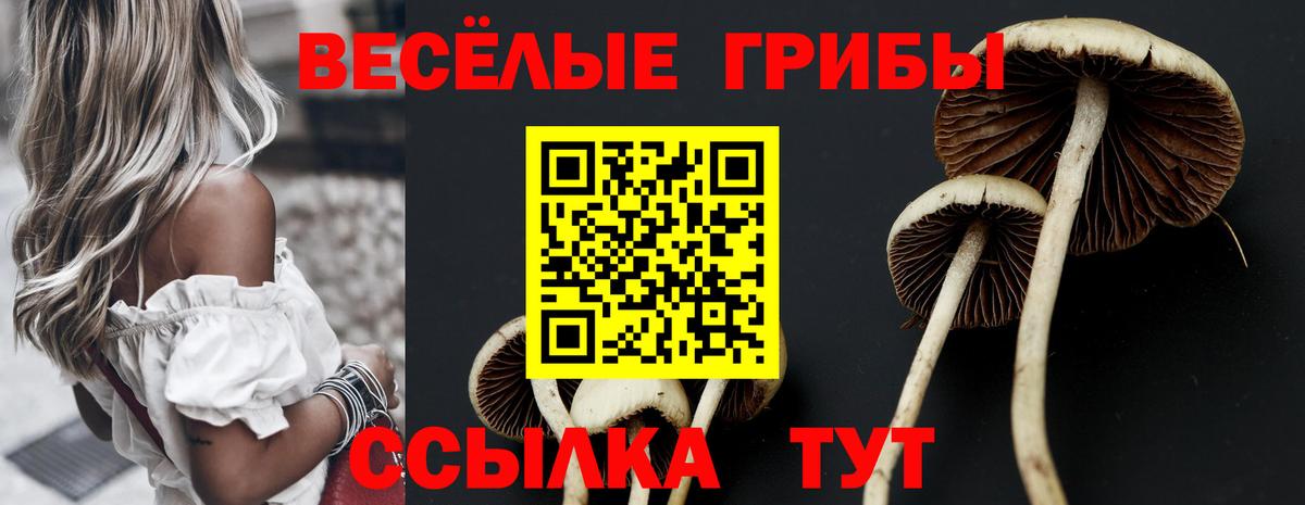 Псилоцибиновые грибы мухоморы  Усолье-Сибирское 