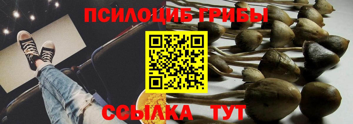 Галлюциногенные грибы Psilocybe  Вход с VPN  как найти закладки  Усолье-Сибирское 
